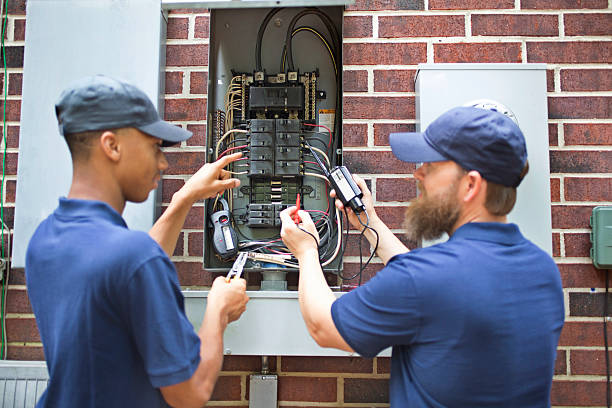 Best Electrical Panel Upgrades  in Roseau, MN